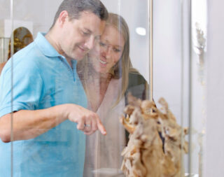 Ein Mann und eine Frau betrachten ein Kunstwerk in einer Vitrine. Der Mann deutet auf ein interessantes Detail. Beide lächeln. Die Stimmung ist hell und fröhlich.