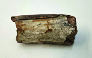 Ein Stück Holz mit einer rauen Oberfläche, das Gräben und Farbschichten zeigt, auf einem weißen Hintergrund platziert.