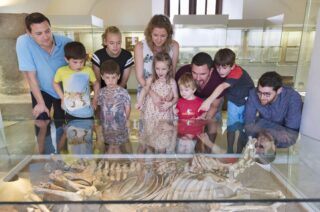 Eine Gruppe von Erwachsenen und Kindern betrachtet ein menschliches Skelett, das unter Glas in einem Museum ausgestellt ist. Die Betrachter stehen neugierig am Glas und zeigen Interesse an der Ausstellung.